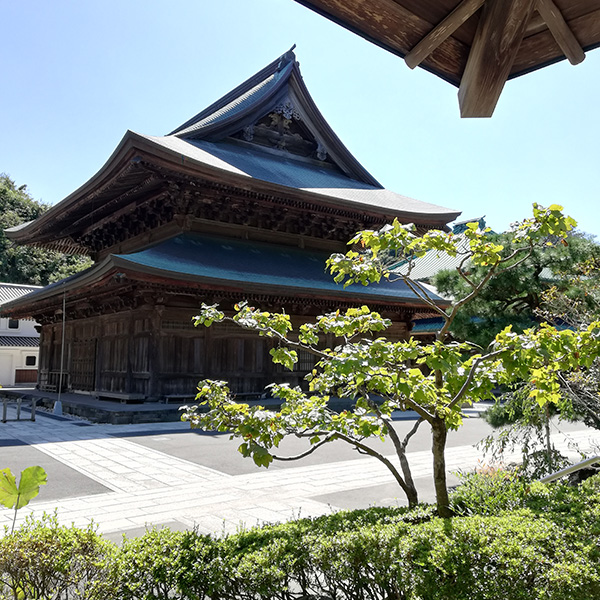現場が鎌倉だったので、時間があって軽く散策してきました~